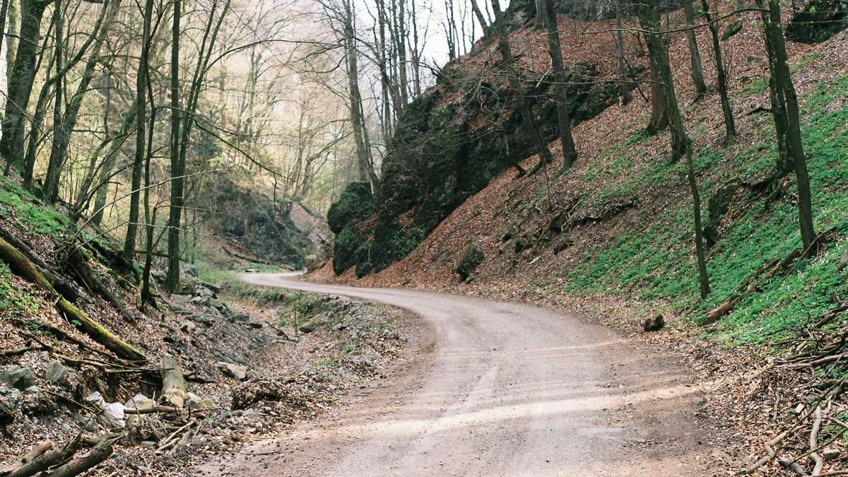 十五运会什么时候开幕