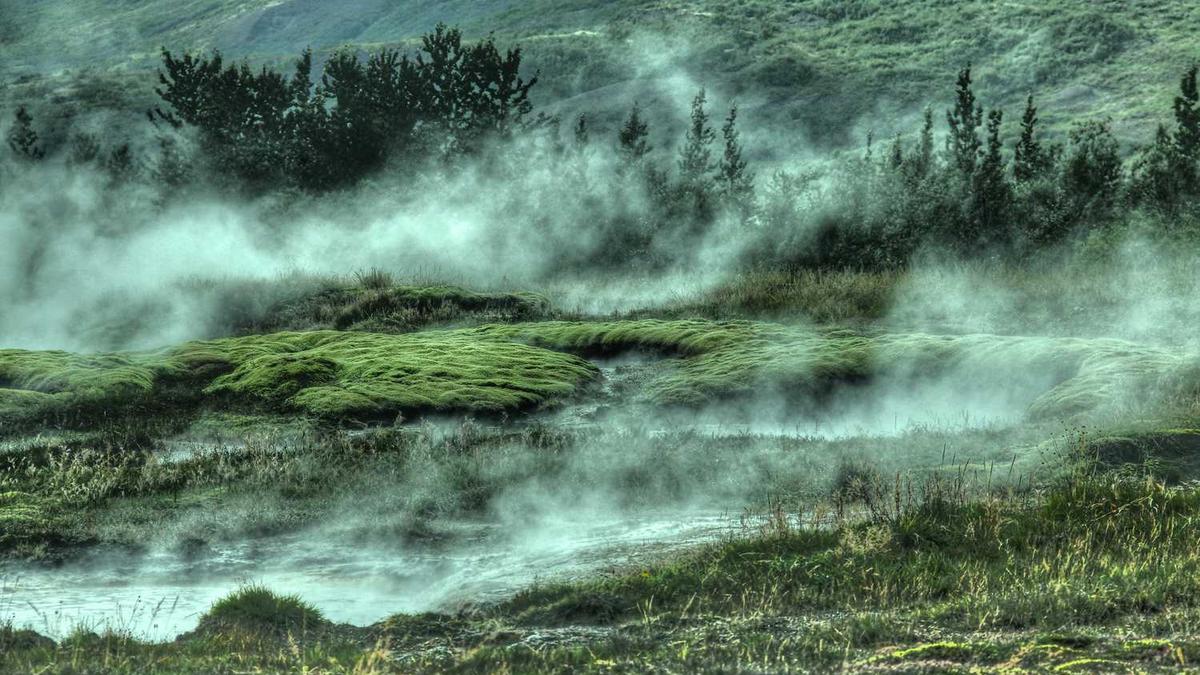 纪律教育月活动主题