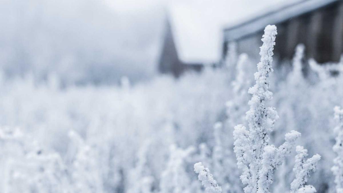 沧州美食沧州八大名吃