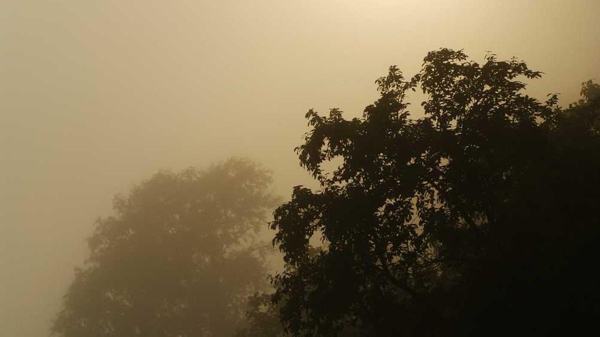 抚顺市中心医院做手术红包给多少?