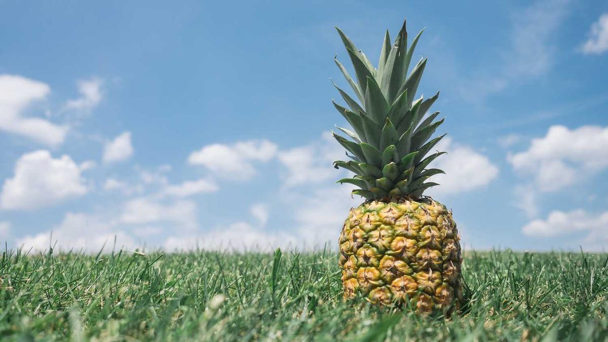 sPA是什么意思 spa和按摩区别有哪些