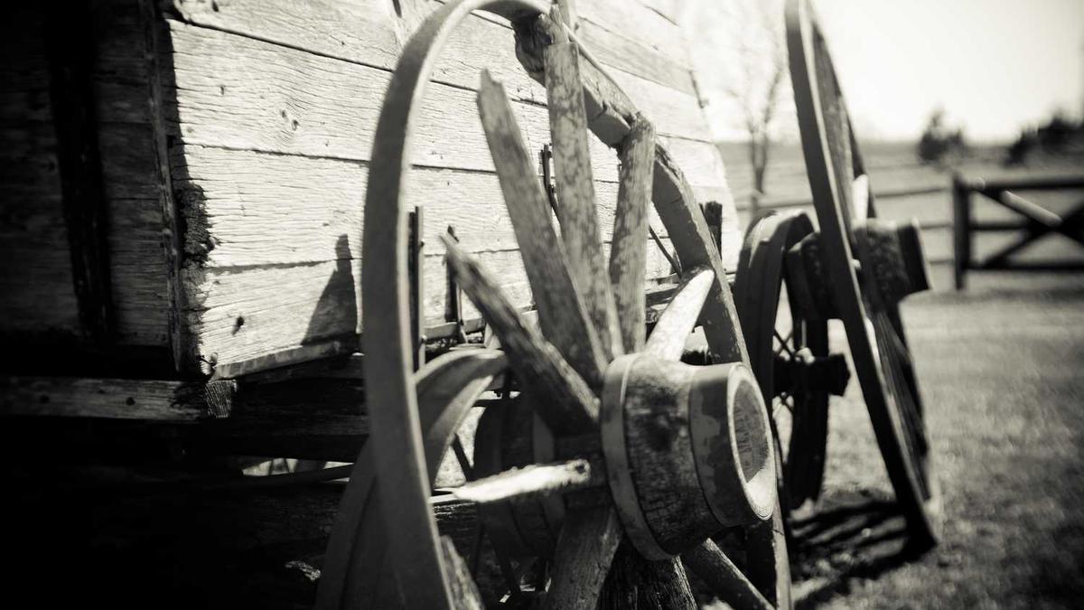 佛山老人卡在广州可以坐公交车吗?