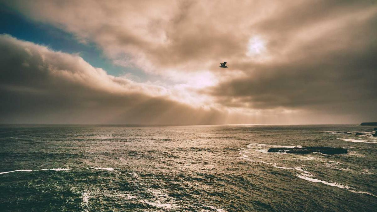 朔州怀仁人的性格体现出哪些明显特质