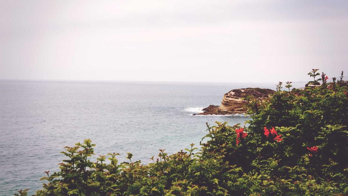 马鞍山OK论坛的介绍