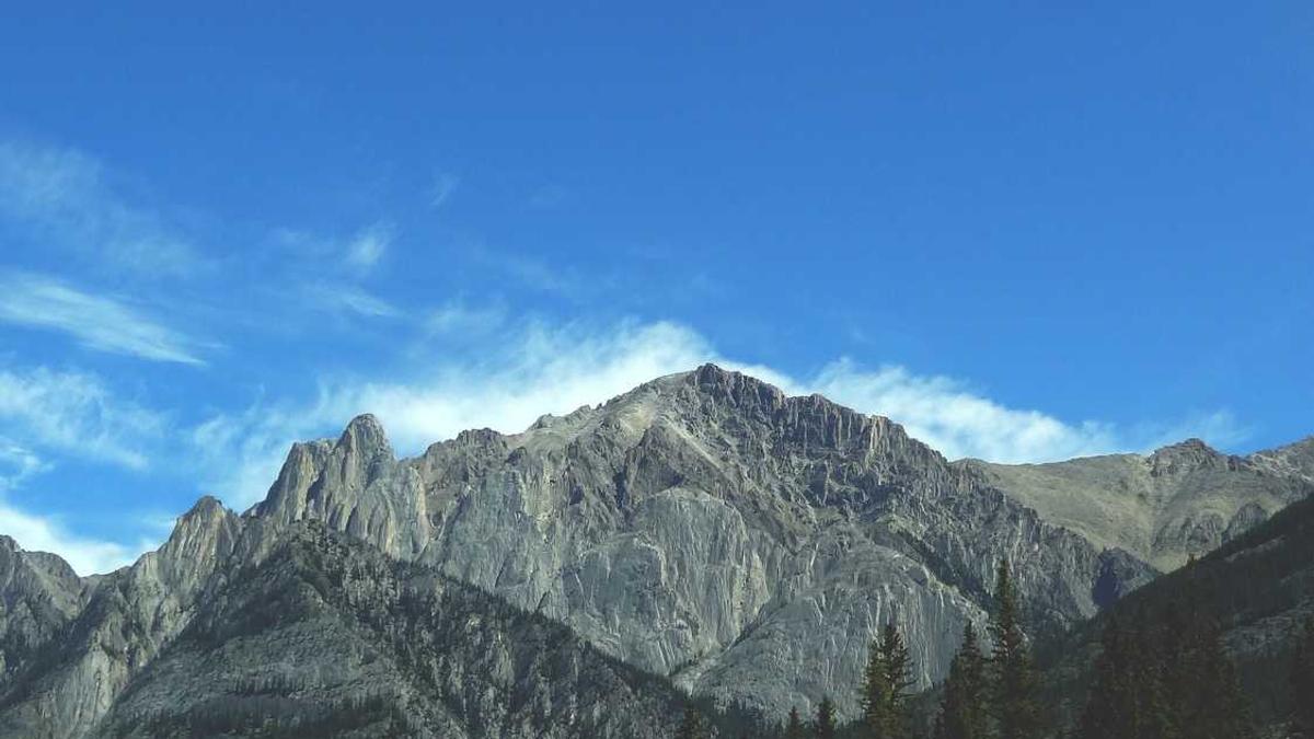 ...共谋科学发展---碑林区妇联召开女企业家代表座谈交流会在西安金领女...