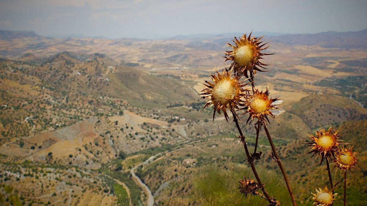 满洲里市财政局归呼伦贝尔市财政局管吗