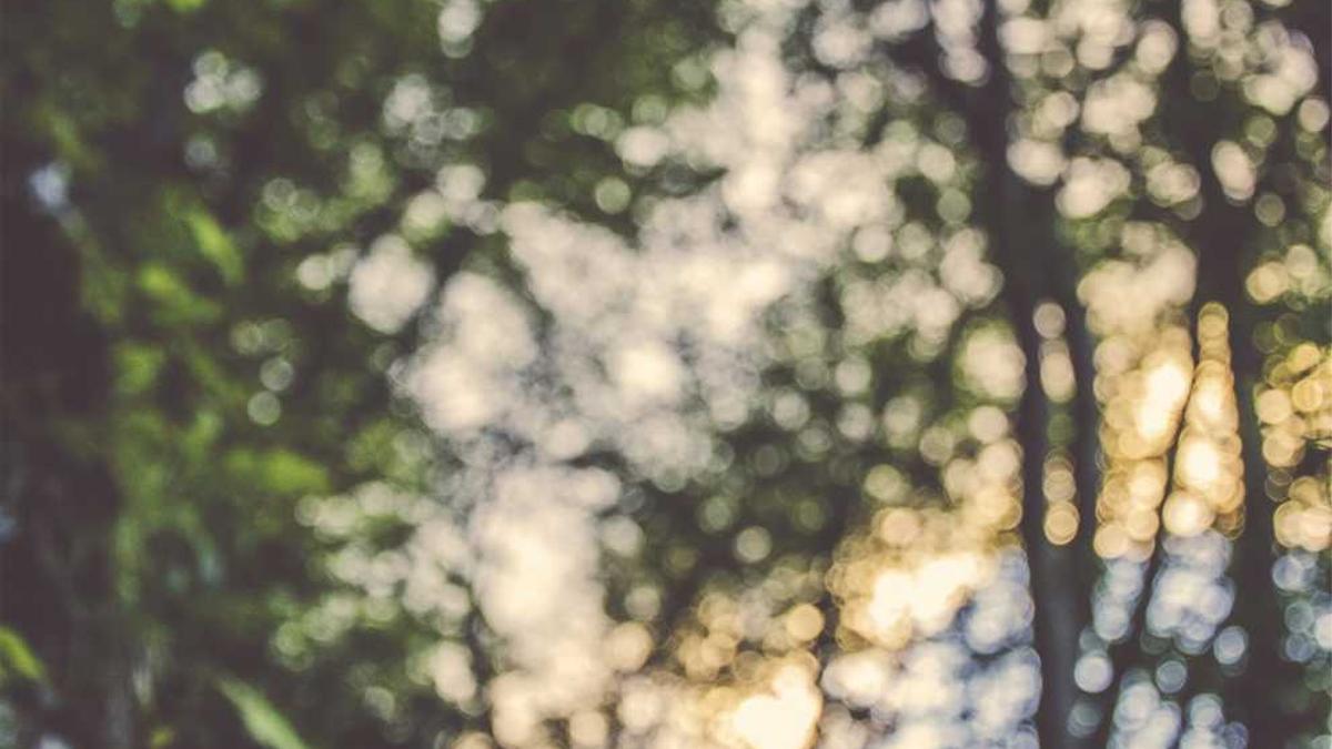 抚顺到沈阳张士路线图,自驾