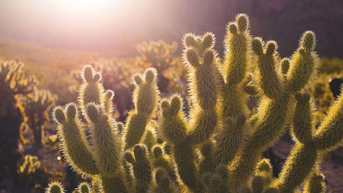 七个省份生娃不花钱