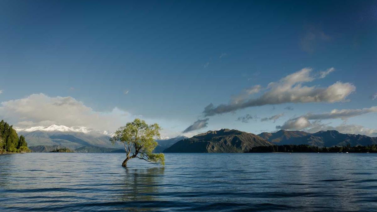 福建和出租车有合作吗