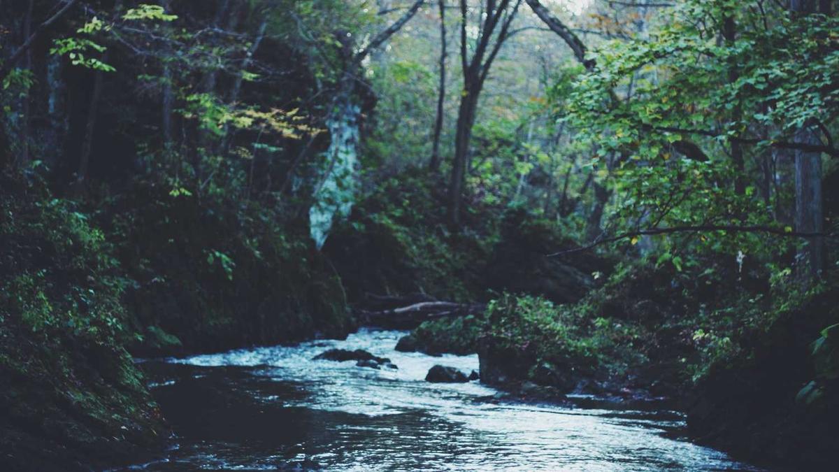 ...好看的小说么,最好是像番茄,三少的风格,修仙类或玄幻类