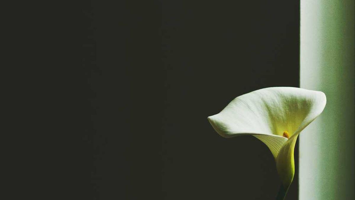 南平人才市场可以接收党员档案吗