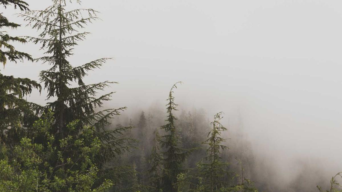 党风廉政建设从哪些方面入手