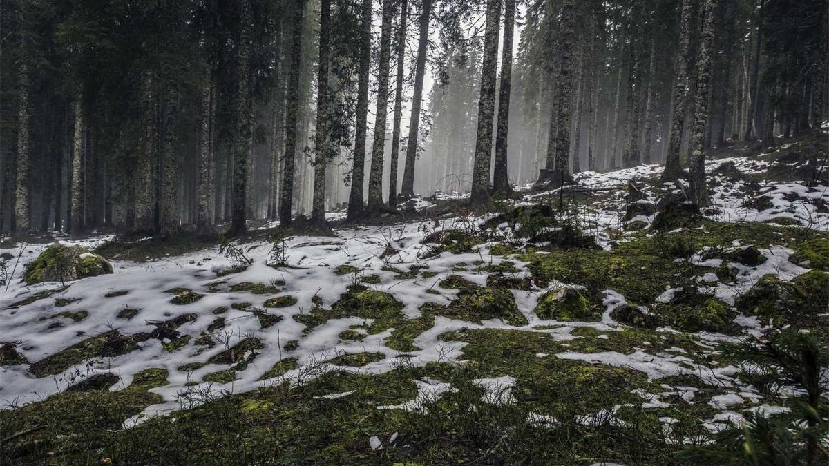 山东建筑医院更名为什么医院?