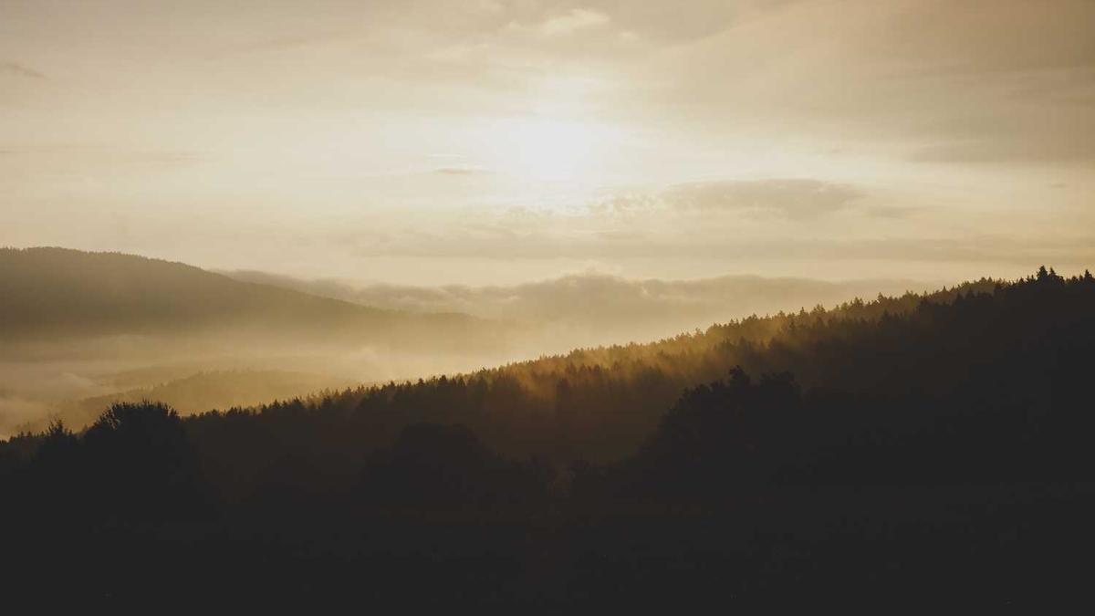 成都哪些景点秋假不要门票