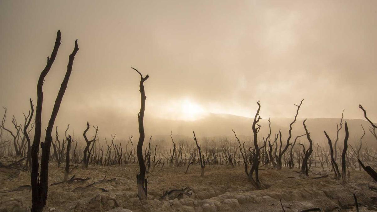 烟台大学是一本吗?
