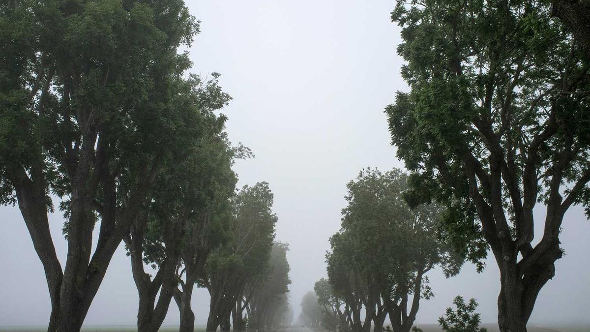 保健食品整改报告范文3篇