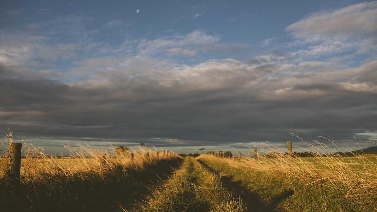 如何确定清远的房子产权性质?