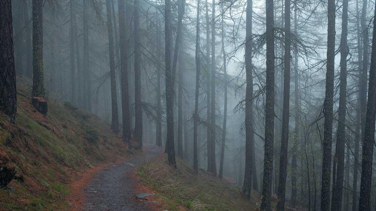惠州八月三号整天天气预报