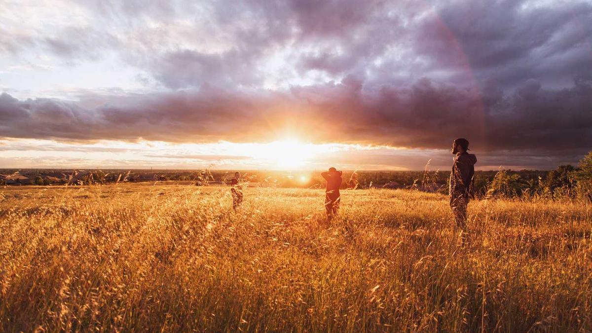 阜阳理工学校简介
