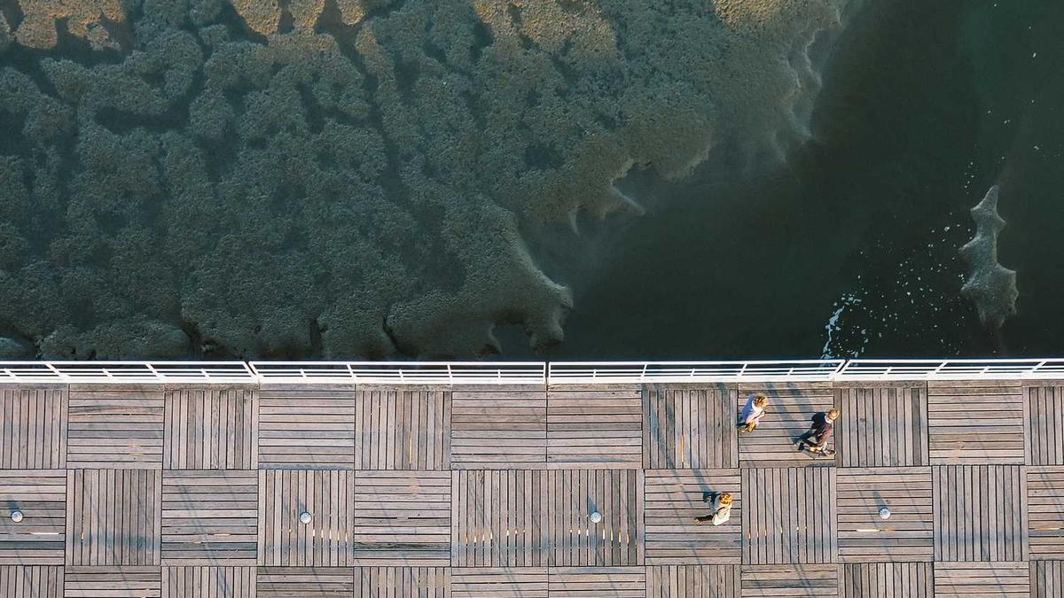 五指山下躯难伸,举目无亲怀仇恨。山鸣谷应身腾达,劈邪除妖感深恩...