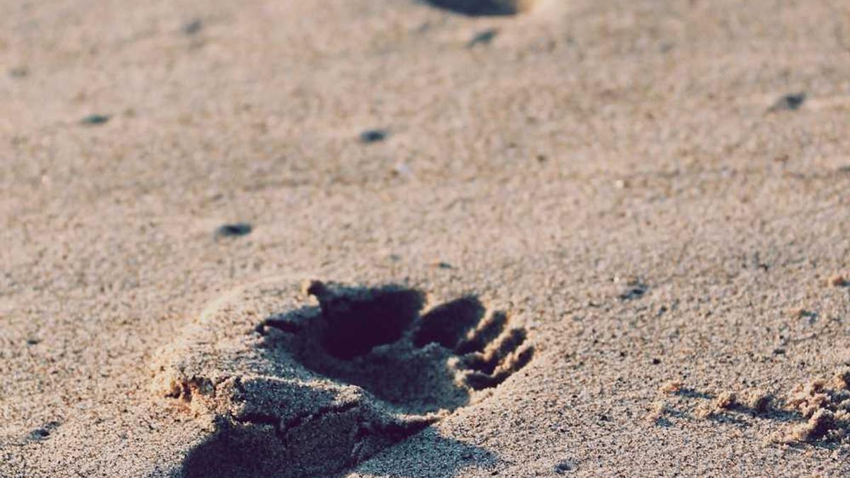 台风什么时候到武汉