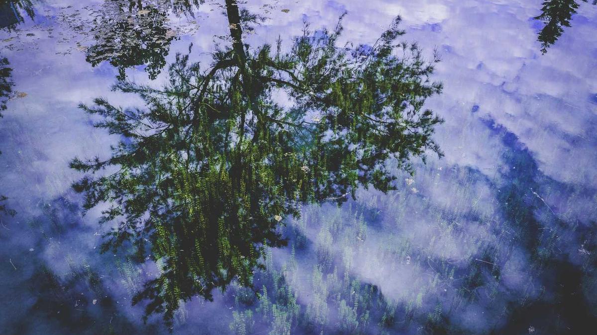 一个众包外卖小哥的年中总结!很中肯,也很深切