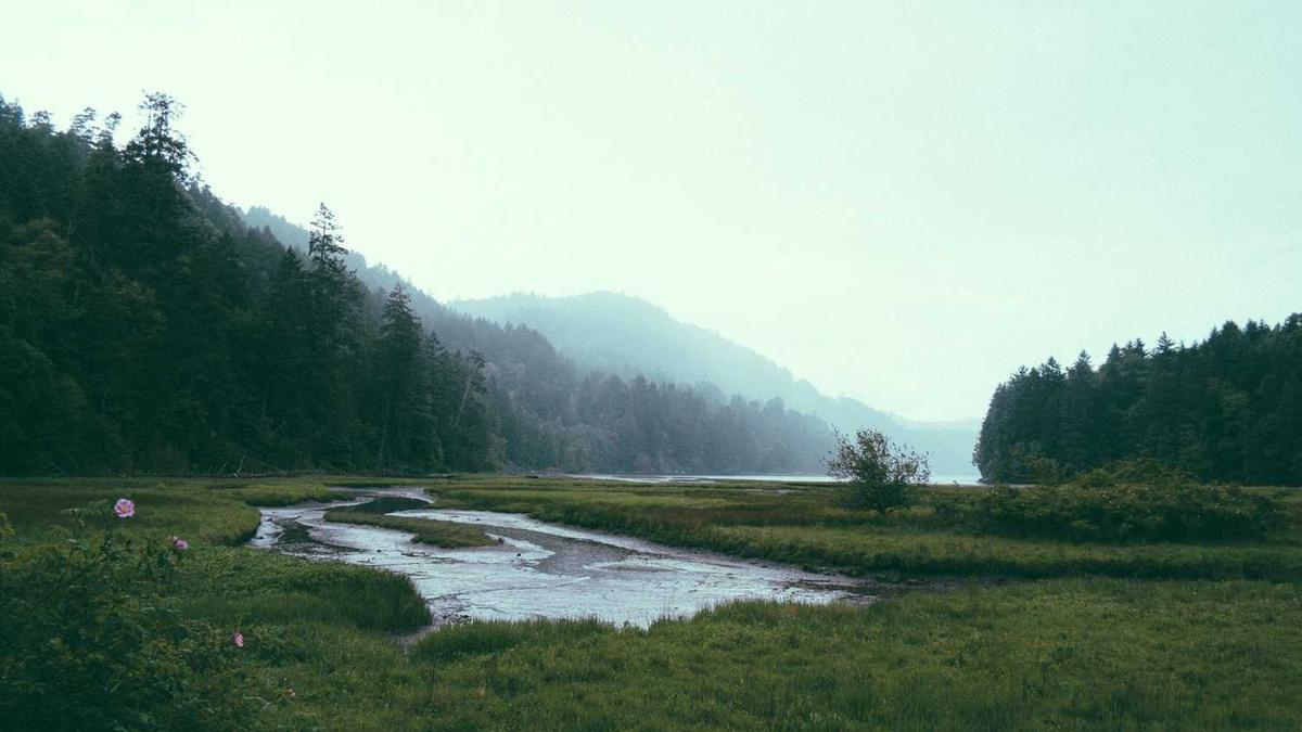 鹤壁市高中升学率排名
