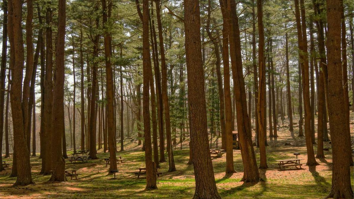 张家界森林公园从哪个门进最佳路线