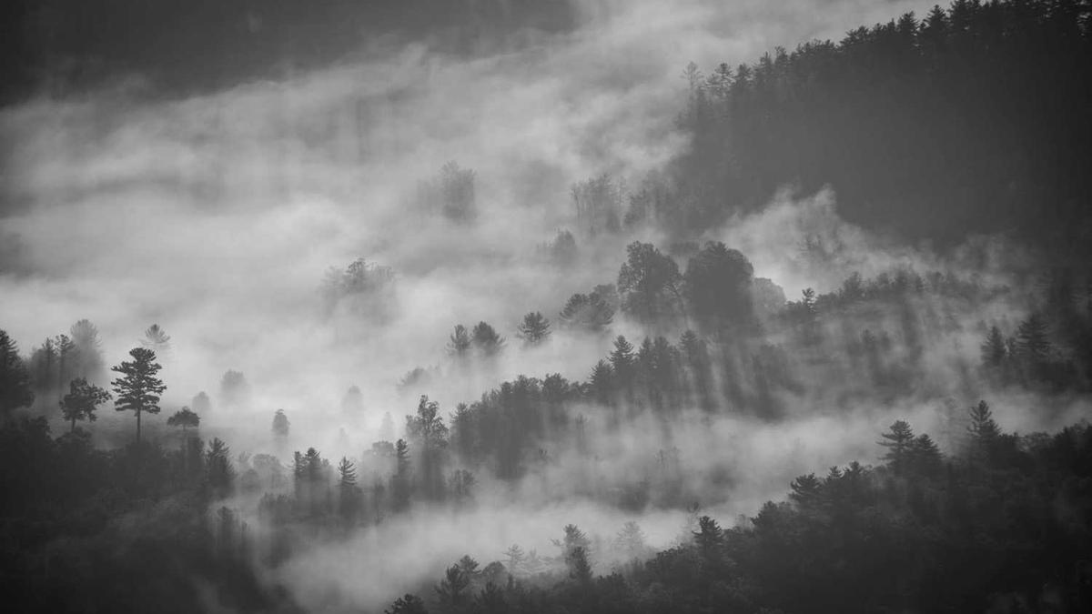 未来佛山房价跌还是涨